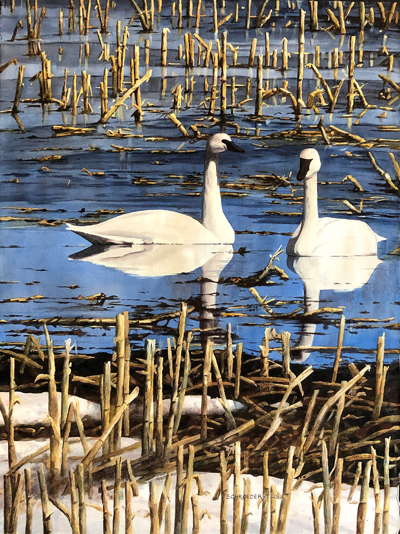 "Spring Thaw Trumpeters" by Thomas Schroeder